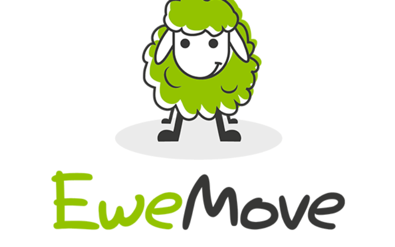 Ewe Move